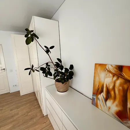 Apartman Full 2 In The Heart Of Kaunas